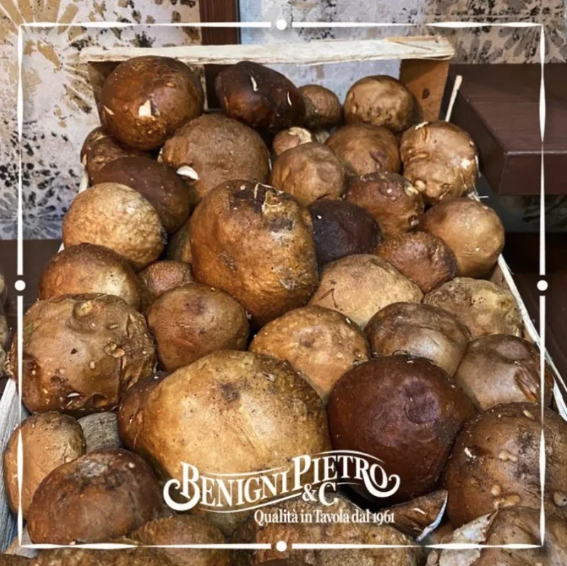 funghi alimentari benigni pietro