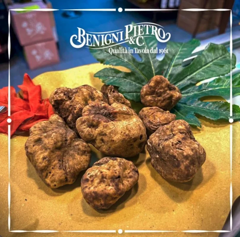 tartufo alimentari benigni pietro